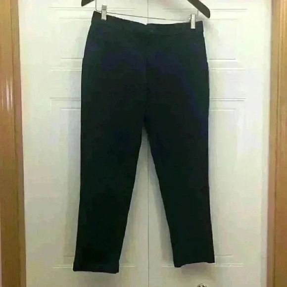 Patagonia All-Wear Stretch Capri Chino Pants  Blue - Picture 9 of 10